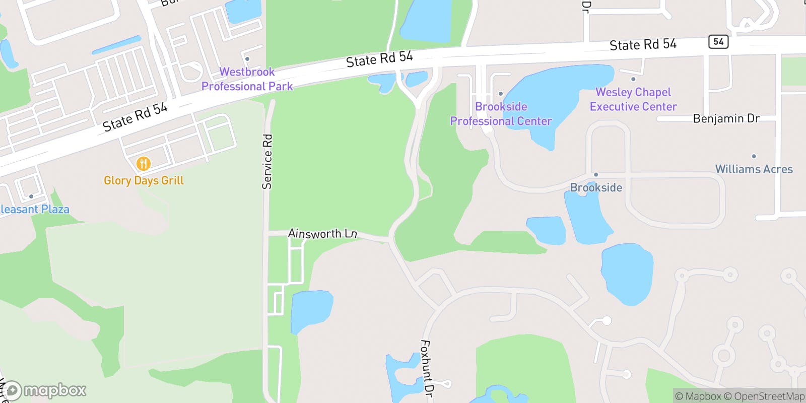 Street map of Saddlebrook Golf & Tennis Resort and its local surroundings.